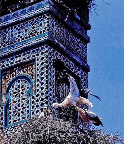 Moroccan Tiles in Minaret