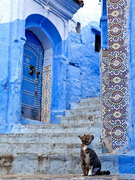 Moroccan Street Tiles 